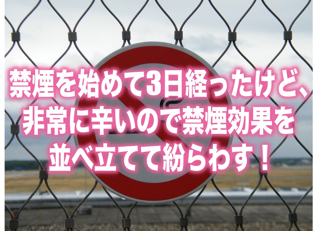 禁煙を始めて3日経ったけど 非常に辛いので禁煙効果を並べ立てて紛らわす 青いきつね